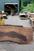 Oregon Black Walnut Slab 052418-01