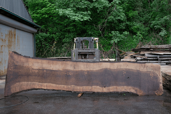 Oregon Black Walnut Slab 052418-02