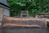 Oregon Black Walnut Slab 052418-02