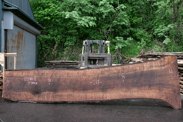 Oregon Black Walnut Slab 052418-09