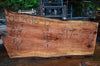 Oregon Redwood Slab 052616-12