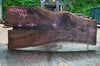 Oregon Black Walnut Slab 052914-04