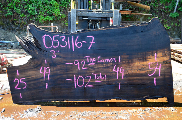 Oregon Black Walnut Slab 053116-07