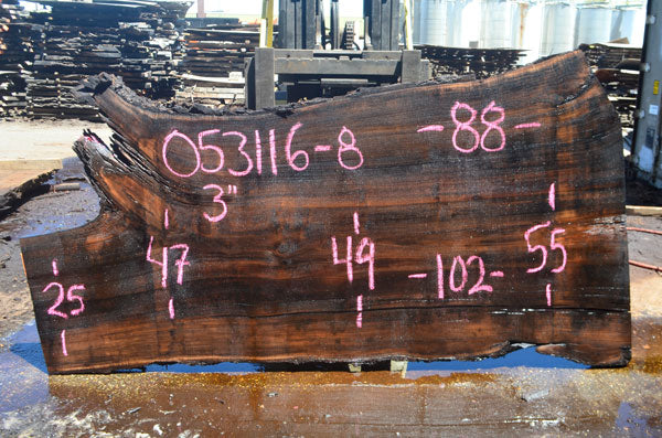 Oregon Black Walnut Slab 053116-08