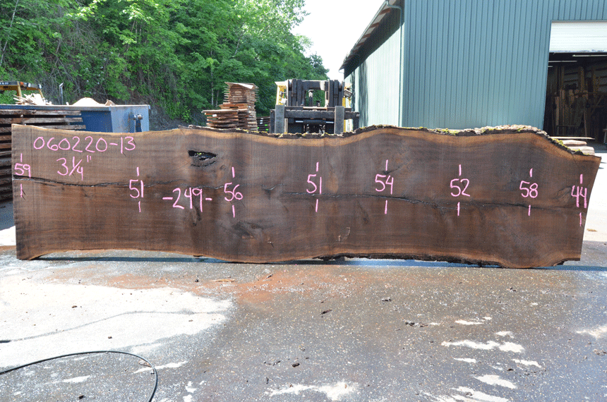 Oregon Black Walnut Slab 060220-13