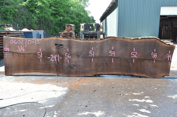 Oregon Black Walnut Slab 060220-13