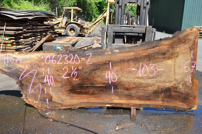 Oregon White Oak 062320-02