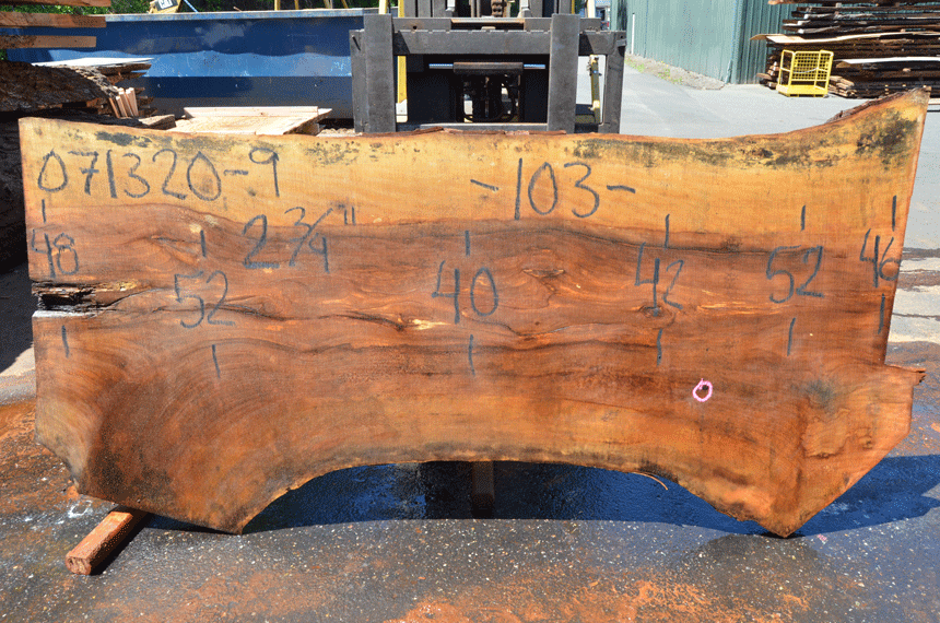 Sycamore Slab 071320-09