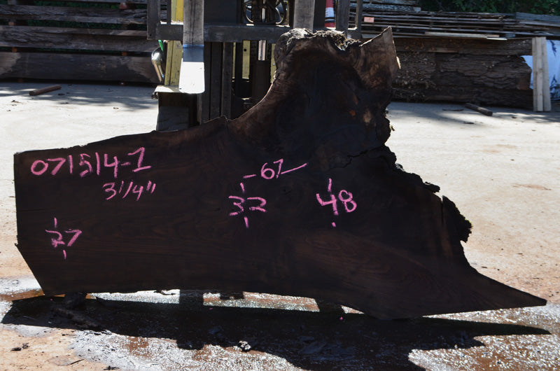 Oregon Black Walnut Slab 071514-01