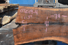 072519-04 Oregon Black Walnut