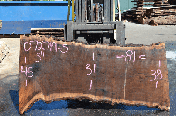 072719-05 Oregon Black Walnut