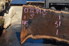 072719-05 Oregon Black Walnut