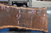 072719-05 Oregon Black Walnut