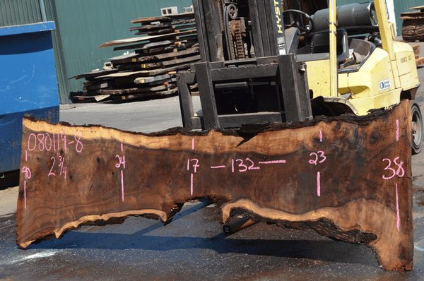 080119-08 Oregon Black Walnut