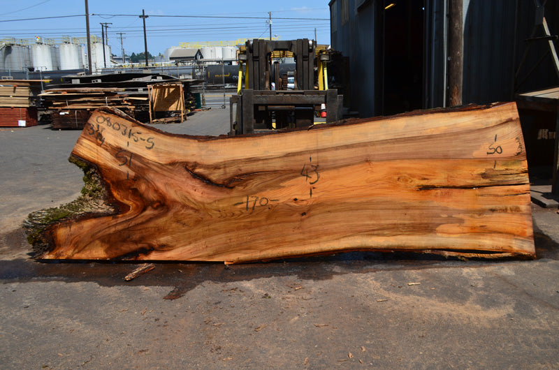 Elm Slab 080315-05