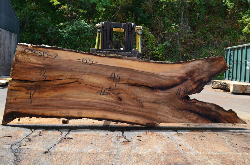 Elm Slab 080315-07