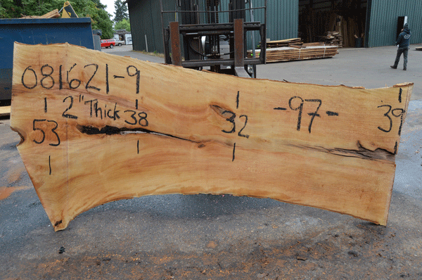 Sycamore Slab 081621-09