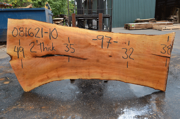 Sycamore Slab 081621-10