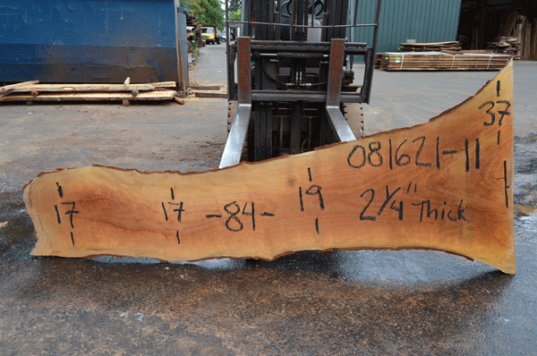 Sycamore Slab 081621-11