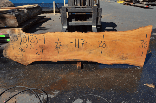 Sycamore Slab 090120-01