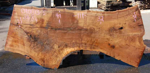 Oregon Black Walnut Slab 090813-05