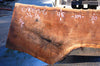 Oregon Black Walnut Slab 090813-06