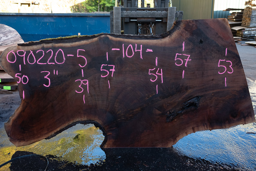 Oregon Black Walnut Slab 090220-05