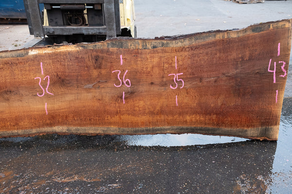 Oregon White Oak Slab 092120-07 – Goby Walnut