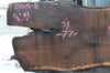 Oregon Black Walnut Slab 101515-08