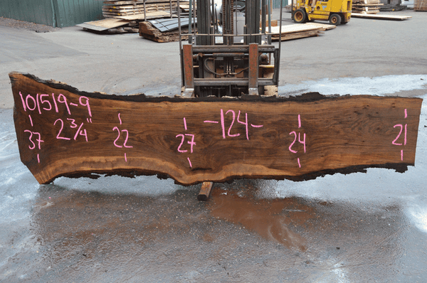 101519-09 Black Walnut Slab