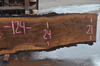 101519-09 Black Walnut Slab