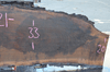 102919-02 Black Walnut Slab