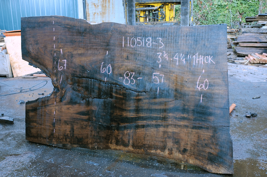 110518-03 Oregon Black Walnut Slab