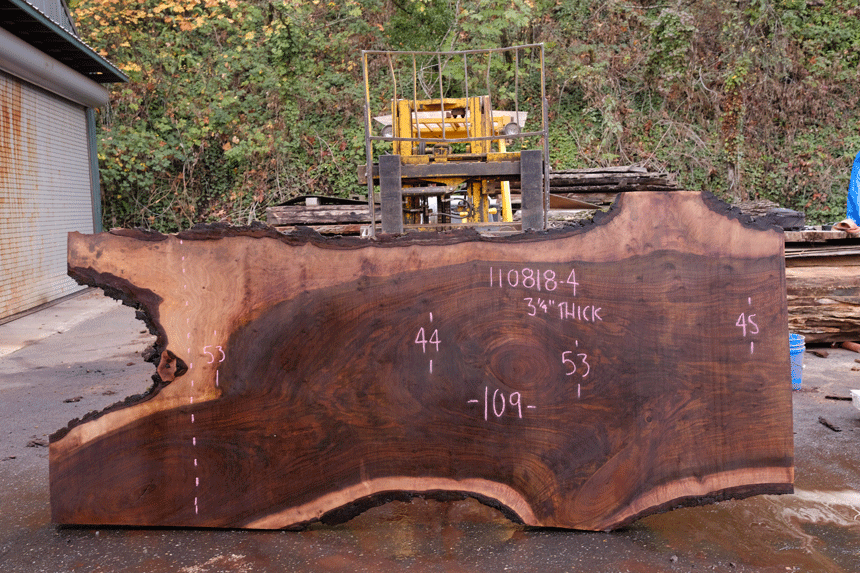 110818-04 Oregon Black Walnut Slab
