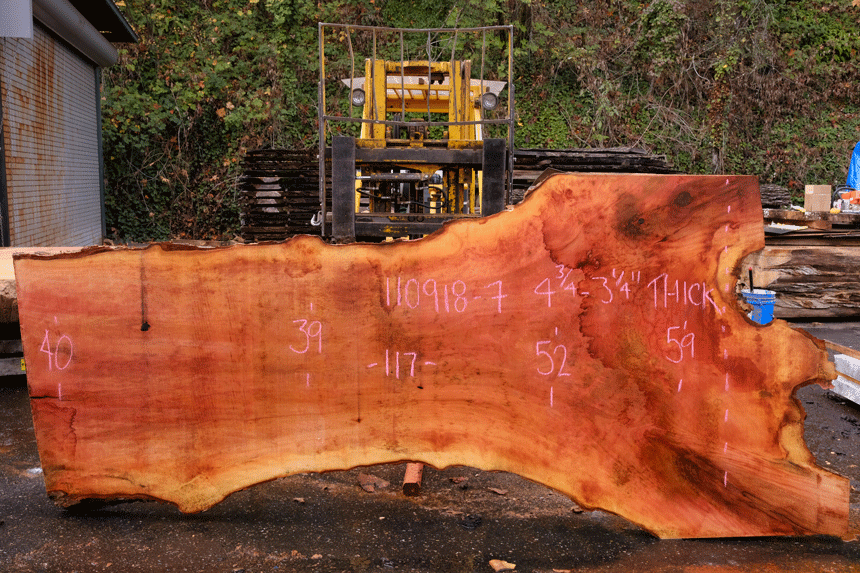 110918-07 Sycamore Slab