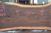 Oregon Black Walnut Slab 112121-06