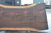 Oregon Black Walnut Slab 112121-06