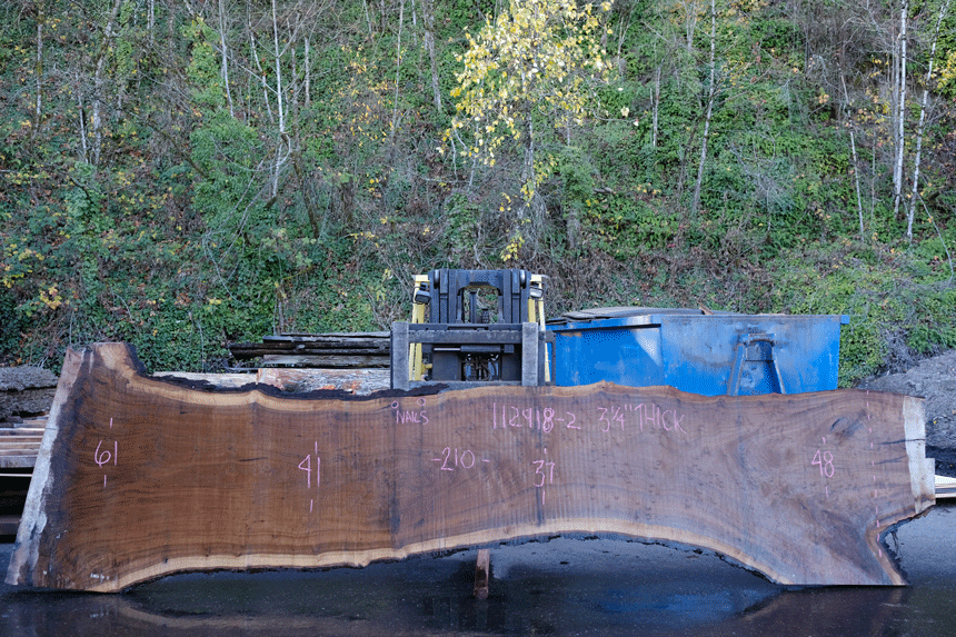 112918-02 Oregon Black Walnut Slab