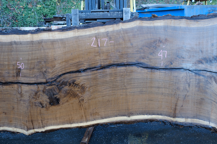 112918-10 Oregon Black Walnut Slab – Goby Walnut