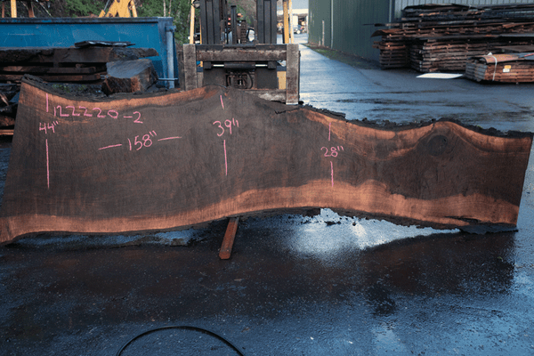 Oregon Black Walnut Slab 122220-02