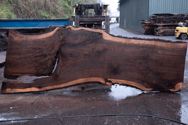 Oregon Black Walnut Slab 122220-10