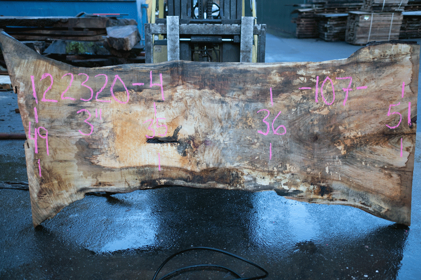 Big Leaf Maple Slab 122320-04