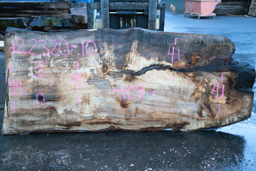 Big Leaf Maple Slab 122320-10