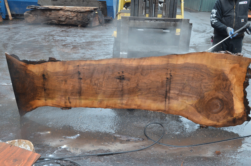 Oregon Black Walnut Slab 122719-01