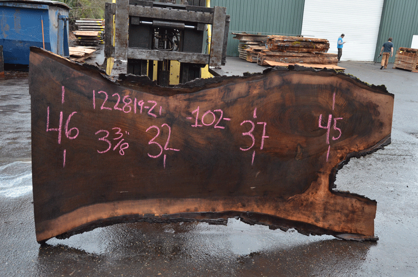 Oregon Black Walnut Slab 122819-02