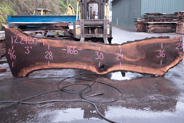 Oregon Black Walnut Slab 122920-01