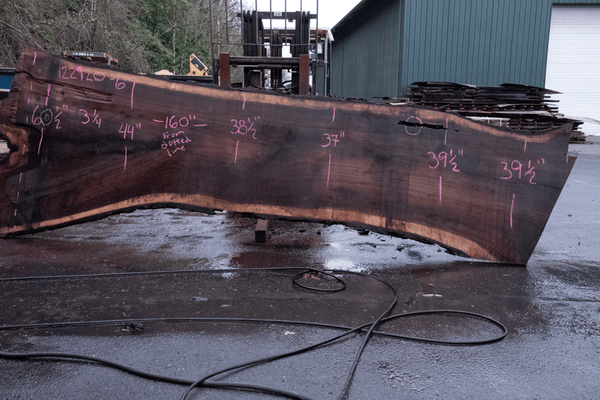 Oregon Black Walnut Slab 122920-06