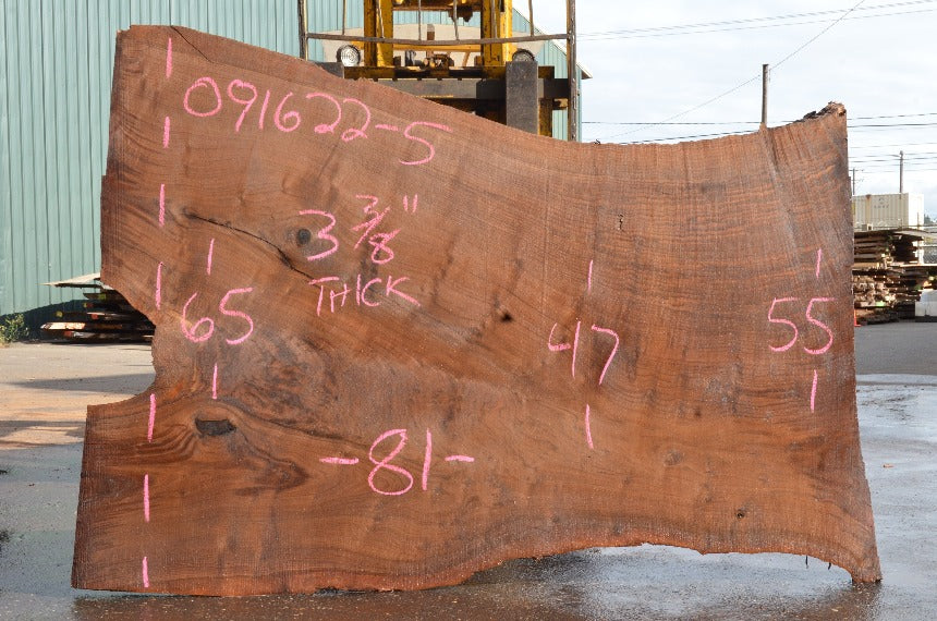 Oregon Black Walnut Slab 091622-05