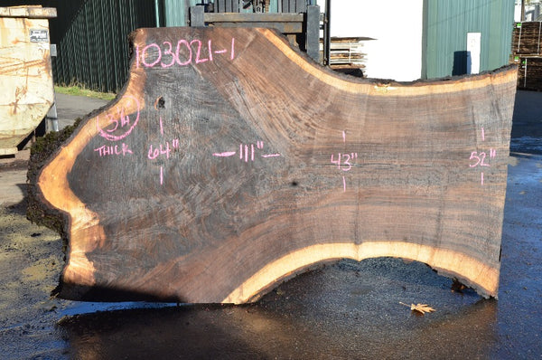 Oregon Black Walnut Slab 103021-01