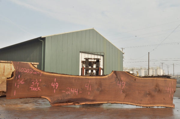 Oregon Black Walnut Slab 102022-01